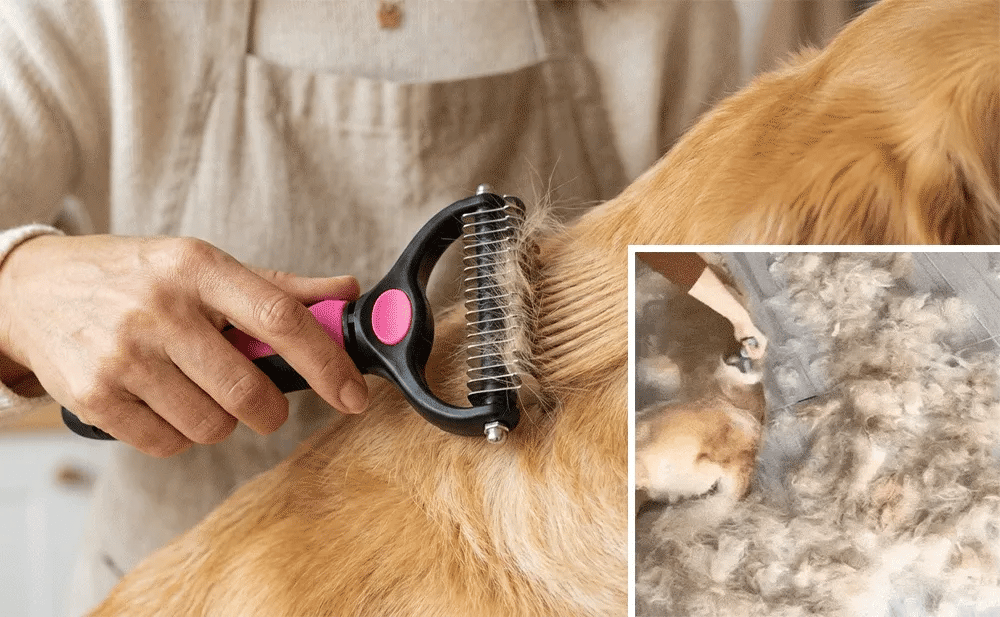 Profesionalna 2-u-1 Četka za Uklanjanje Dlaka Kućnih Ljubimaca 🐾 (1+1) GRATIS Kvalitetno